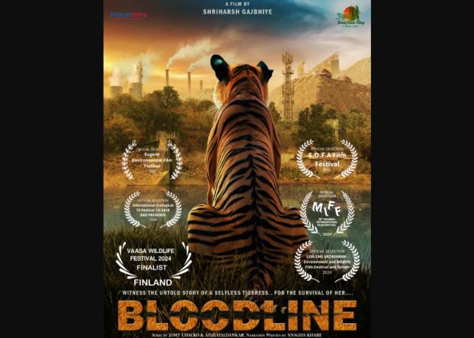 Bloodline (2023)