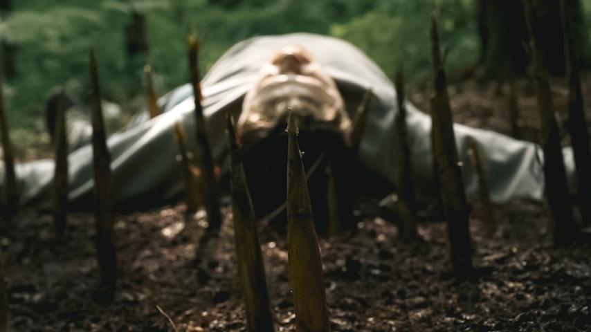Bamboo Revenge (2025)