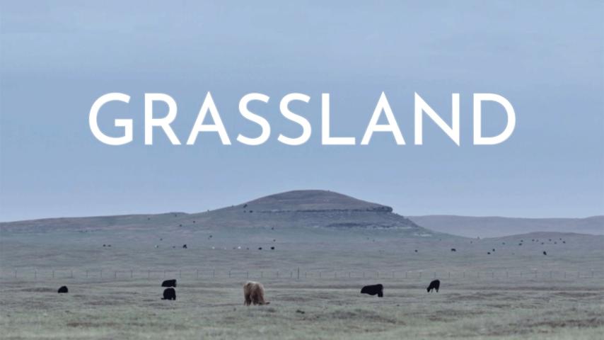 Grassland (2023)