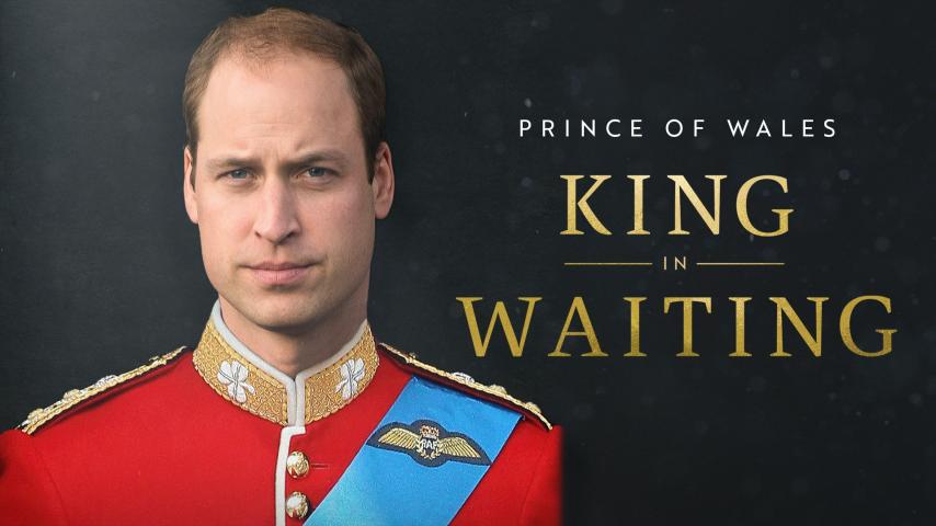 Prince of Wales: King in Waiting (2023)