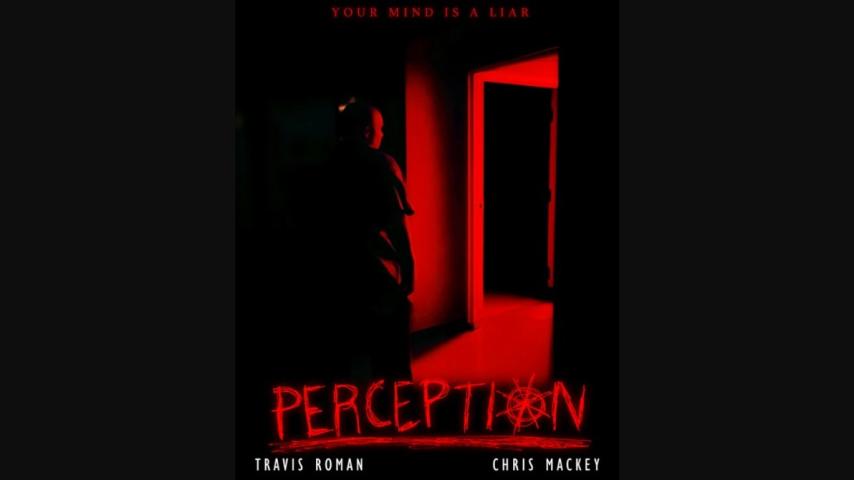 Perception (2024)
