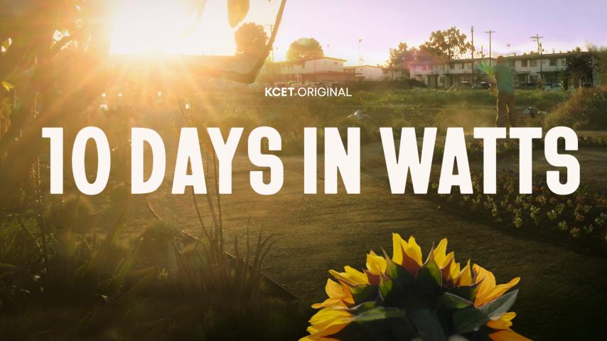 10 Days in Watts (2023)