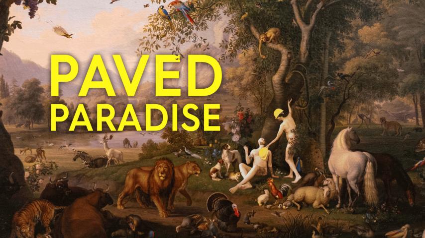 Paved Paradise (2023)
