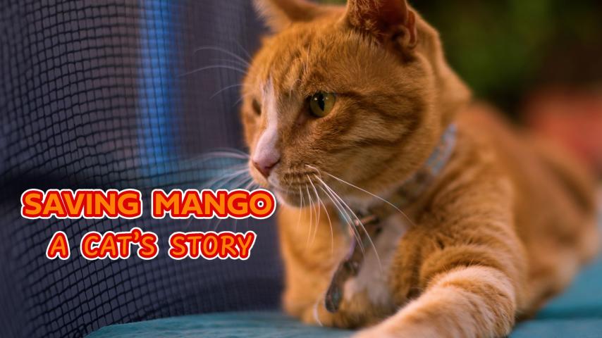 Saving Mango - A Cat's Story (2023)
