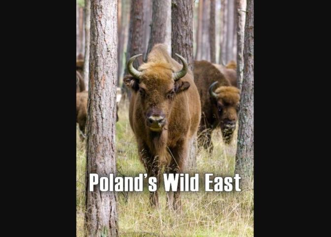 Poland's Wild East (2023)
