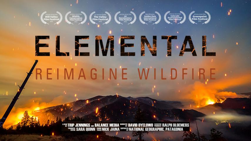 Elemental: Reimagine Wildfire (2023)
