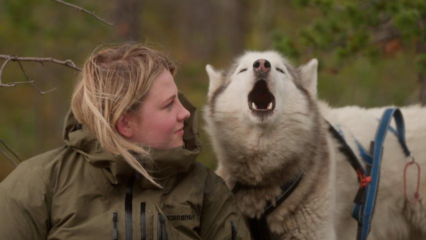 Folktales (2025)