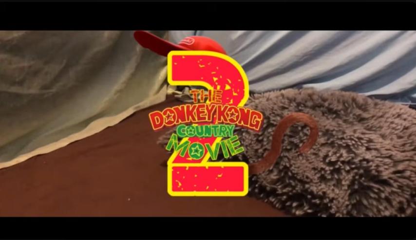 The Donkey Kong Country Movie 2 (2025)