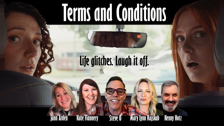 Terms and Conditions (2025)