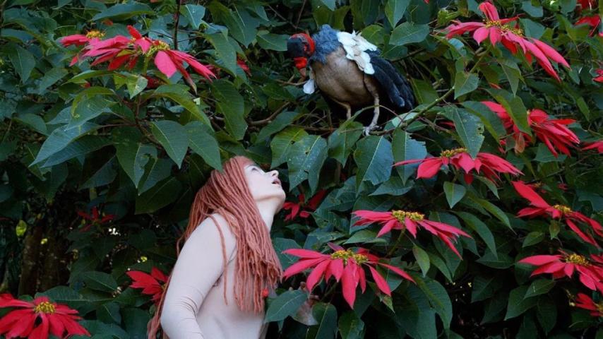 The Diaries of Adam and Eve (2023)