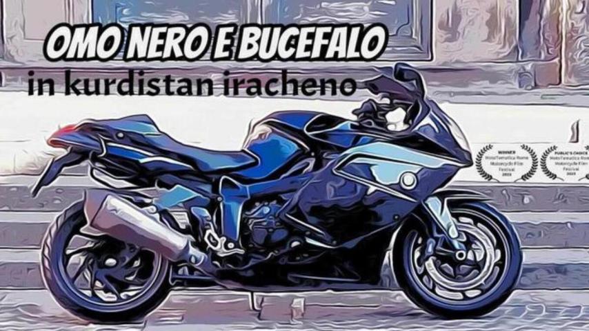 Omo nero e Bucefalo in Kurdistan iracheno (2024)