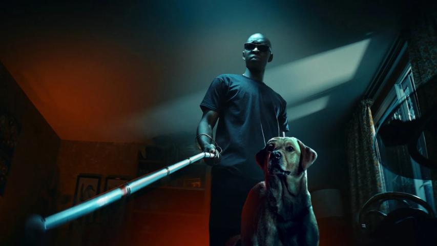 Le roi des ombres (2023)