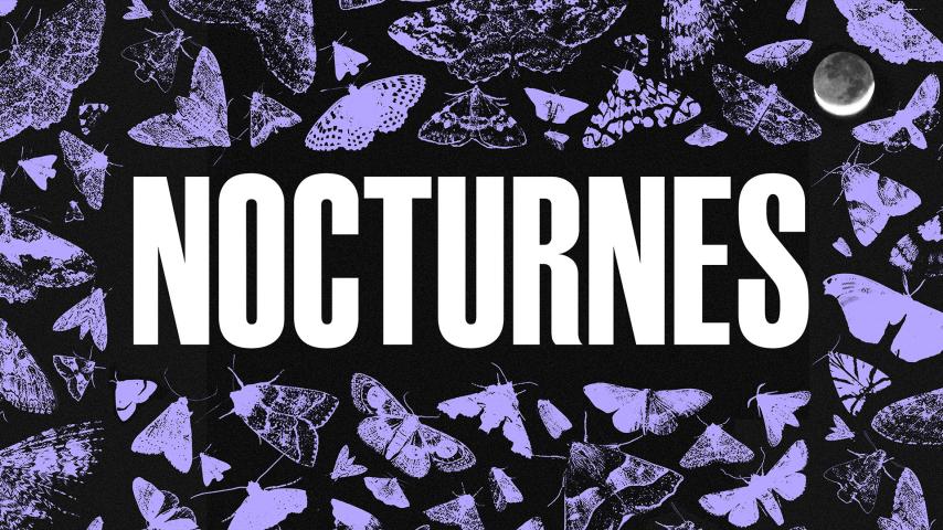Nocturnes (2024)