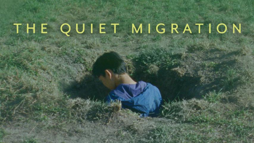 The Quiet Migration (2023)