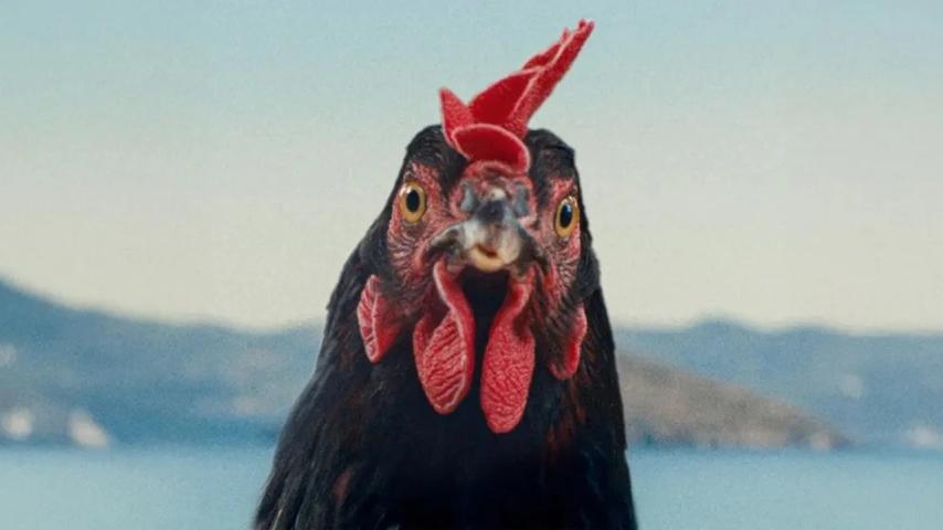 Hen (2025)