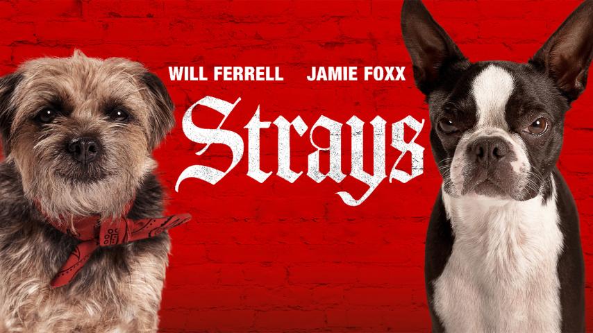 Strays (2023)