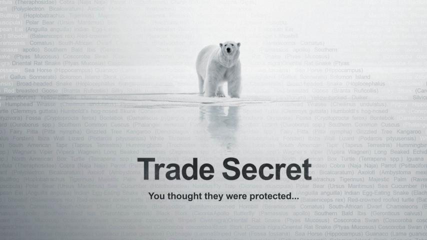 Trade Secret (2025)