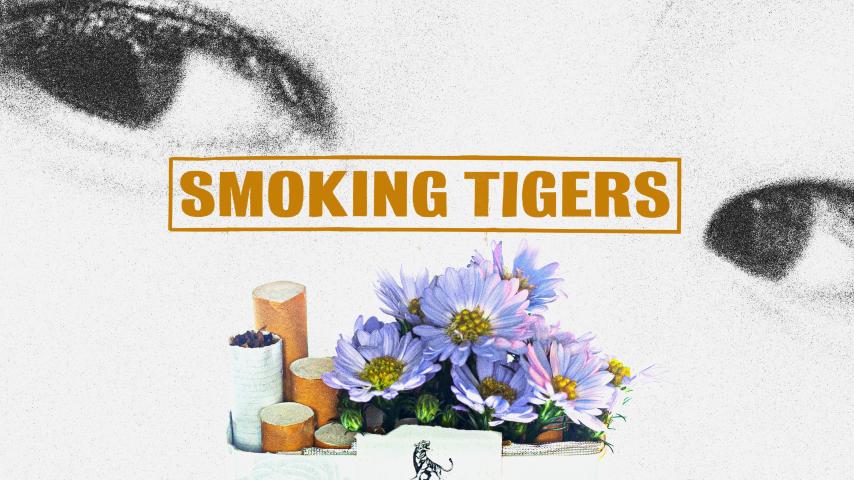 Smoking Tigers (2023)