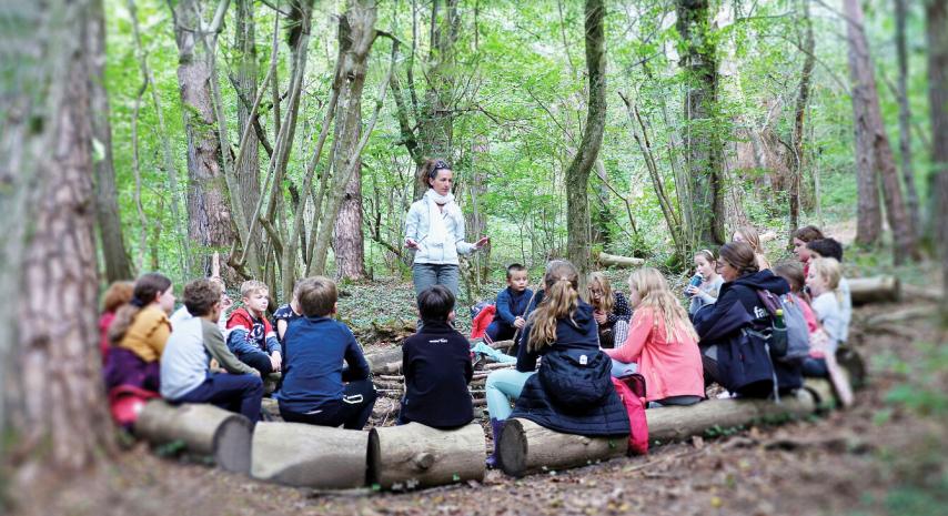 La forêt, c'est la classe! (2024) English Sub