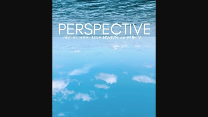 Perspective (2024)
