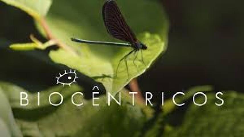 Biocêntricos (2023)