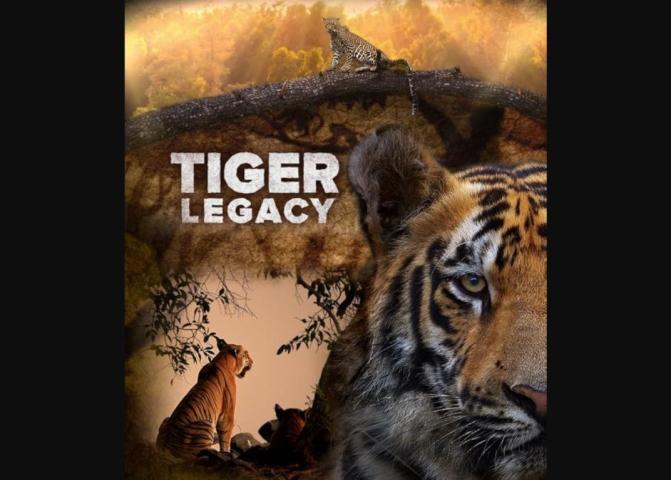 Tiger Legacy- Bastion of the Tiger Mom (2025)