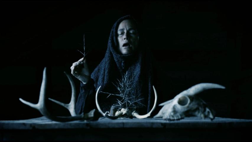 Mother of Flies (2025)