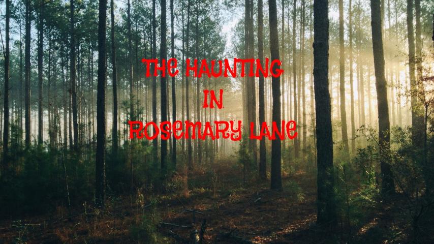 The Haunting in Rosemary Lane (2024)