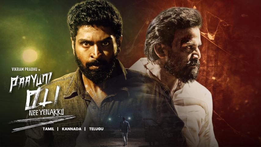Paayum Oli Nee Yenakku (2023) English Sub
