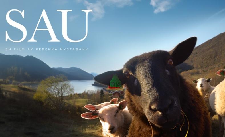 Sau (2024)