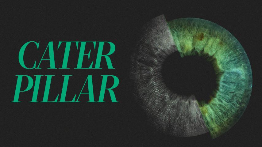Caterpillar (2023)