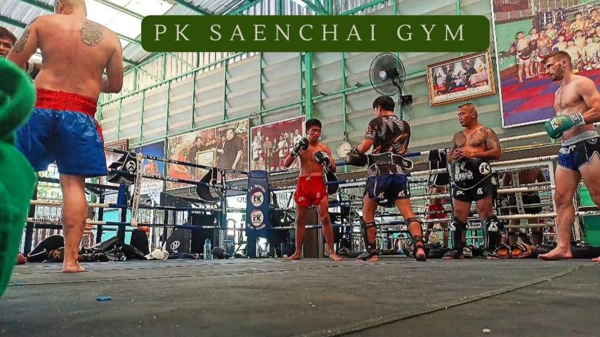 Pk Saenchai Gym (2024)