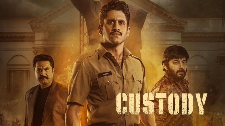 Custody (2023) English Sub