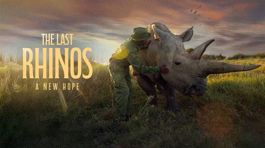 The Last Rhinos: A New Hope (2025)