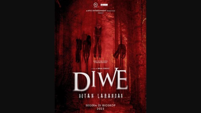 Diwe (2024)