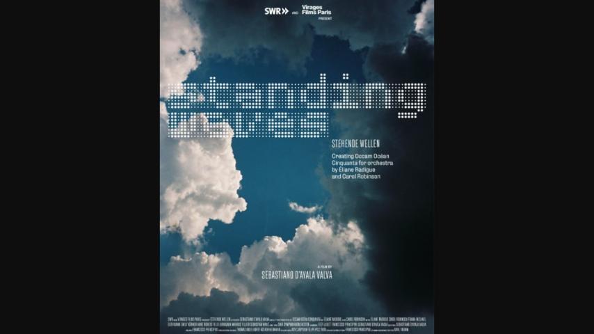 Standing Waves (2024)