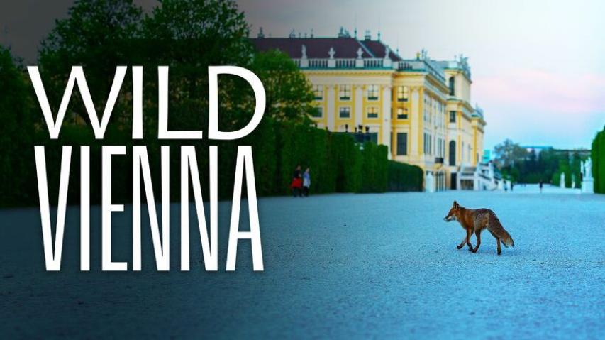 Wild Vienna (2025)