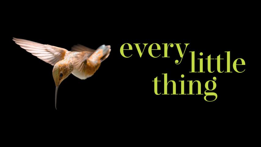 Every Little Thing (2024)