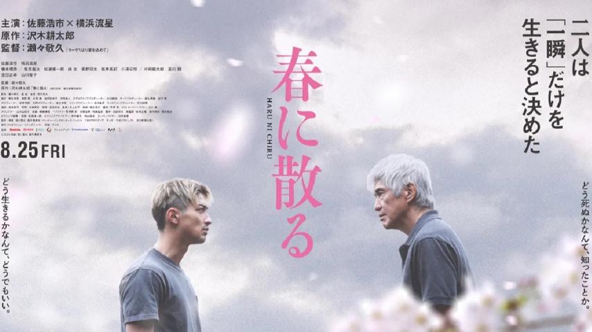 One Last Bloom (2023) English Sub