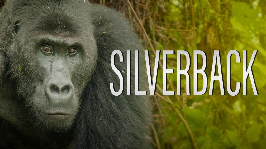 Silverback (2024)