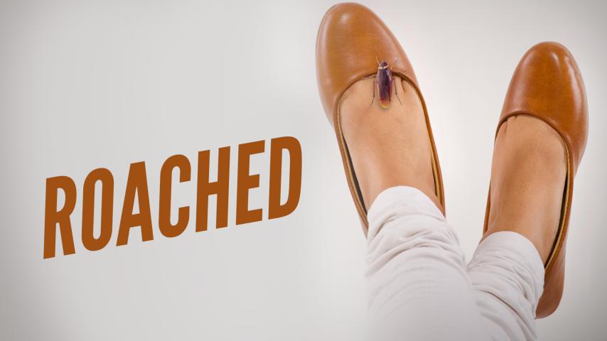 Roached (2023) English Sub
