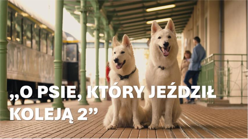 O psie, który jezdzil koleja 2 (2025)