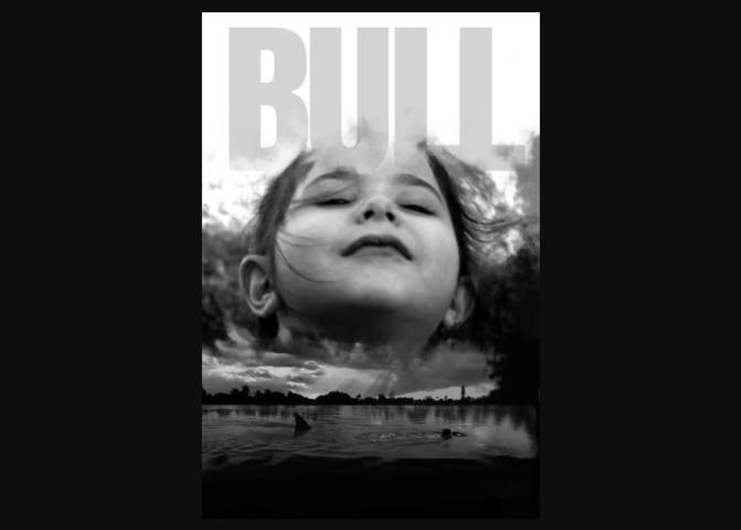 Bull (2023)