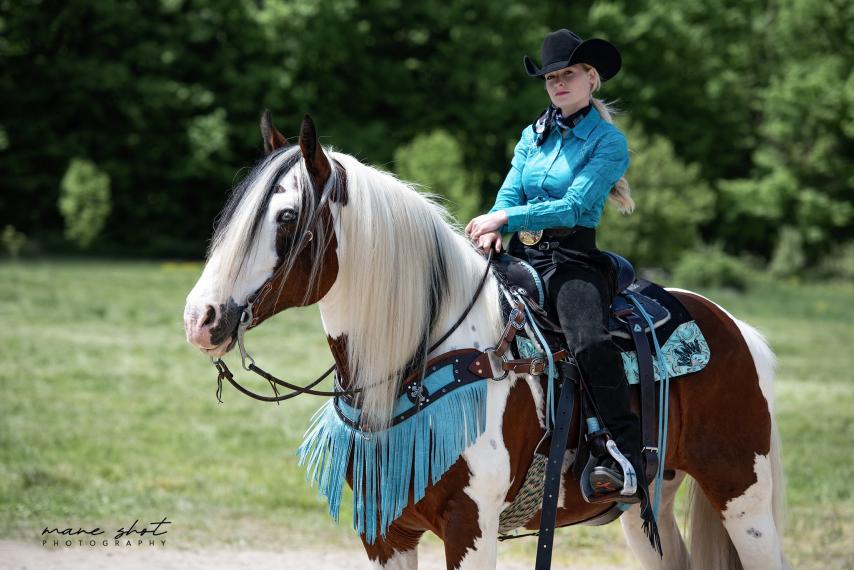 Heartbeat of a Drum Horse (2025)