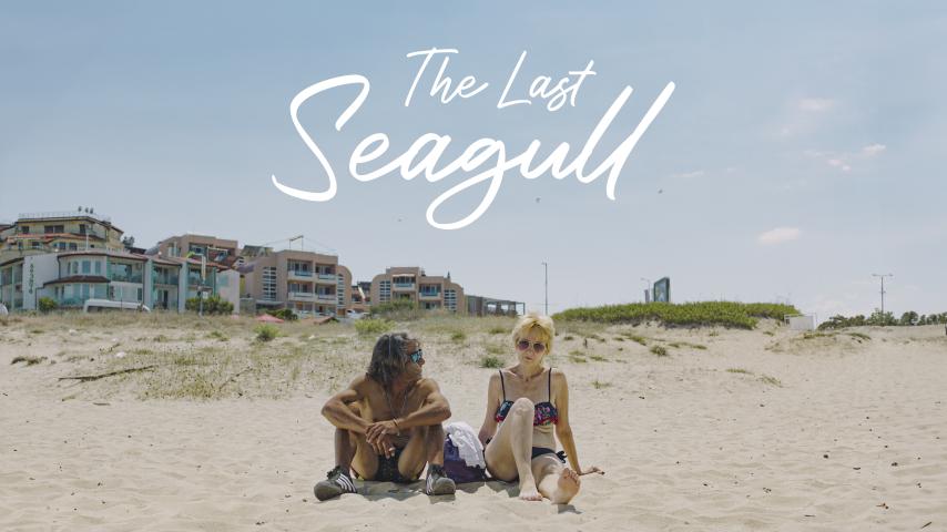 The Last Seagull (2023)
