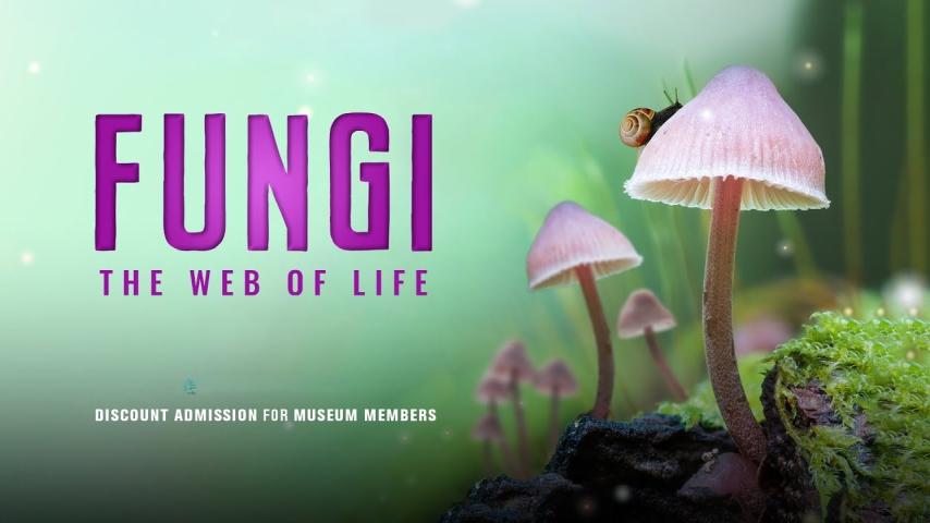 Fungi: The Web of Life (2023)