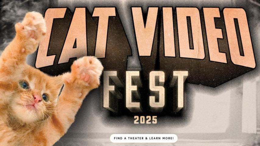 CatVideoFest 2025 (2025)