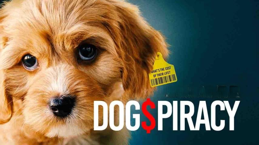 Dogspiracy (2025)