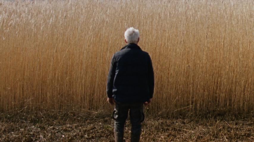 Reedland (2025)