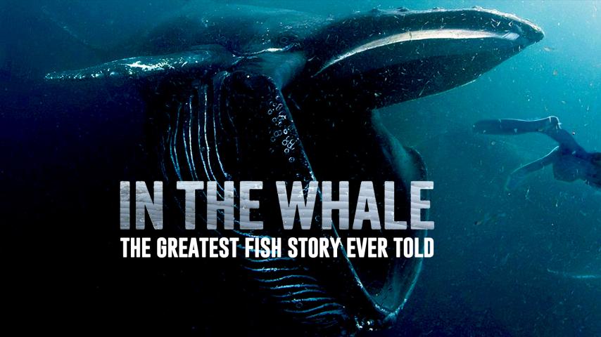 In the Whale: The Greatest Fish Story Ever Told (2023)